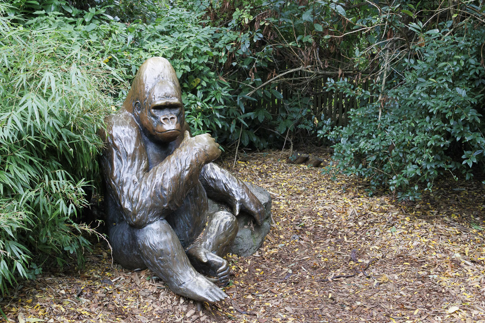 Woodland Park Zoo — photo 20